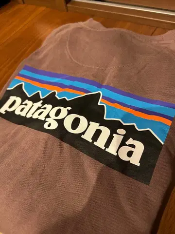 파타고니아 P6 로고 오가닉 크루 스웨트 셔츠