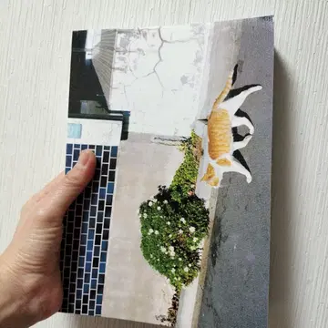 [레어] 안녕 여보세요 사랑해 카와시마 코토리