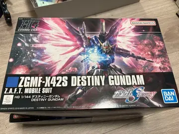 데스티니 건담, 레전드 건담, 정크제품 세트