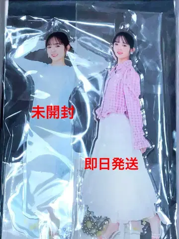 니이 노조미 아크릴 스탠드 세트 FC 한정판