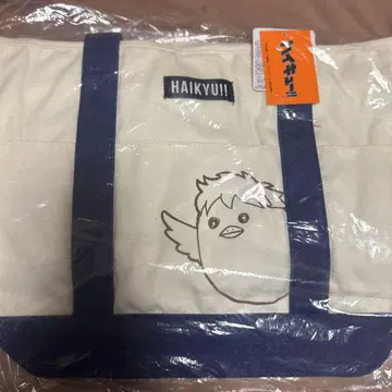 하이큐!! 카라스노 히나타 백