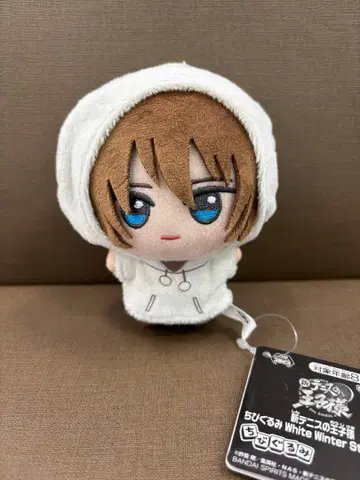 신 테니스의 왕자님 SD 인형 vol.2 후지 슈스케 봉제 인형