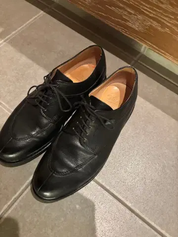 파라부트 아비뇽 노아 7 1/2