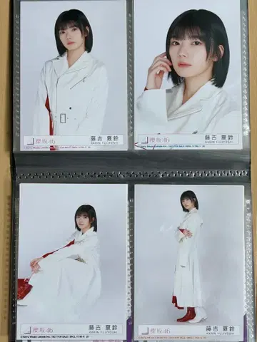 후지요시 카린 브로마이드 컴프