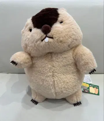 마모트의 모토토 구이 점보 하마모토 봉제 인형