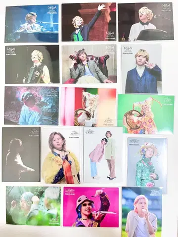 미세스 그린애플 포토 카드 후지사와 료카 랜드마크 FJORD BABEL