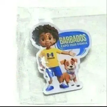 바르바도스관 핀 배지