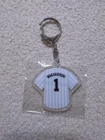 오드리 올나이트 닛폰 in 도쿄돔 키링 와카바야시