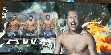 RIZIN 제일복권 4점 세트