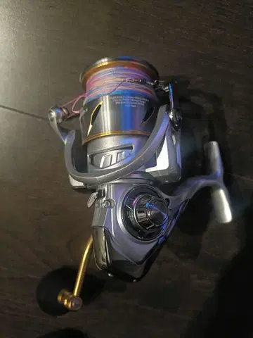 LT6000D-H 스피닝 릴