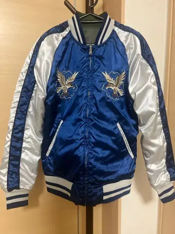 스카잔 청은 독수리 자수 드래곤