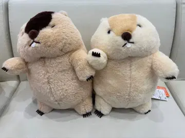 마모트의 모토토 인점보 아타로 하마모토 봉제 인형