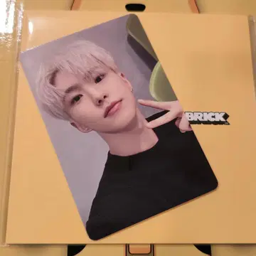 베어브릭 seventeen 트레이딩 카드 호시 순영