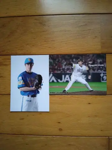 소프트뱅크 호크스 와다 츠요시 브로마이드 엽서 묶음 판매