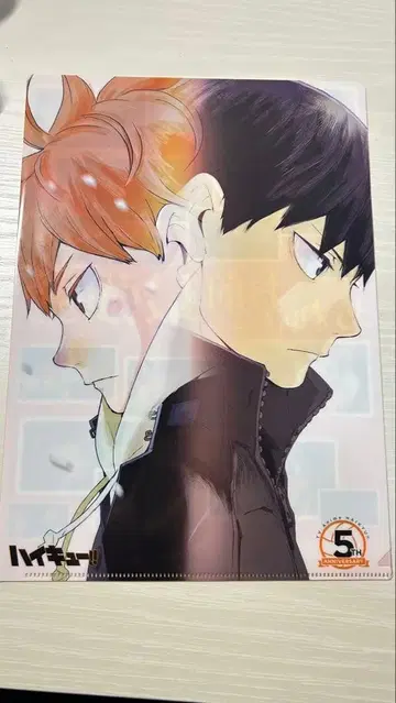 하이큐! 클리어 파일 카라스노 고교