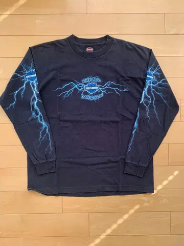 Harley-Davidson 할리데이비슨 Thuder 썬더