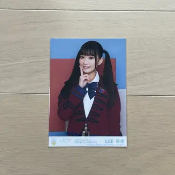 니지유 1st 콘서트 라이브 DVD BluRay 봉입