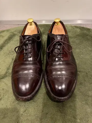 [ 가격 대폭 인하 ] 알든 9015 코도반 펀치드 캡토 발리 라스트