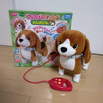 프리프리즘의 오시리네 산책 비글