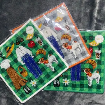 IENA 페이러 콜라보 손수건