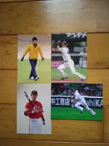 소프트뱅크 호크스 혼다 유이치 브로마이드 엽서 묶음 판매