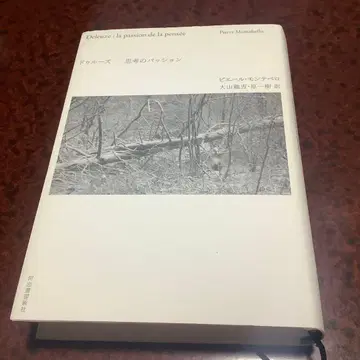 들뢰즈 사유의 열정