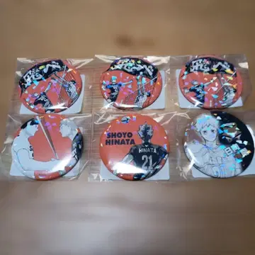 하이큐!! 히나타 쇼요 캔뱃지 6개 세트