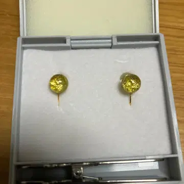 시미즈자카 유리관 아고스트 피아리(8월) L 사이즈