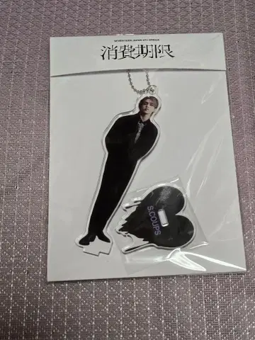 세븐틴 소비기한 아크릴 스탠드 에스쿱스