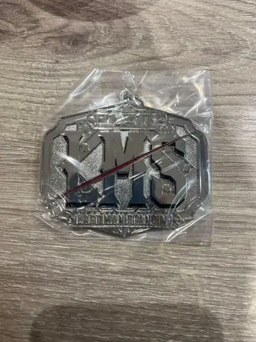 RIZIN 제일복권 D상 벨트 메탈 참