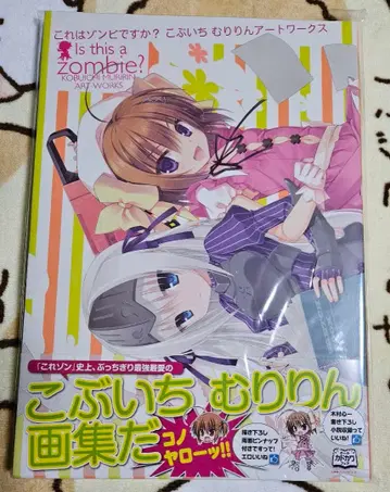 이것은 좀비입니까? 코부이치 무리린 화집 아트 워크스 초판
