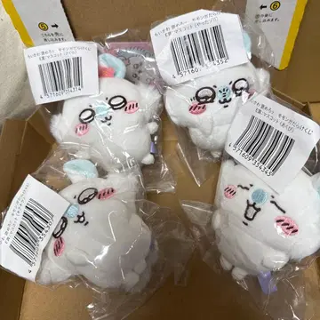 치이카와 모몽가 복권