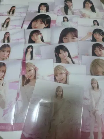 =LOVE 생사진 모음