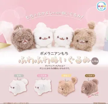 포메라니안 모찌 봉긋봉긋 봉제 인형 4개 세트 컴플리트