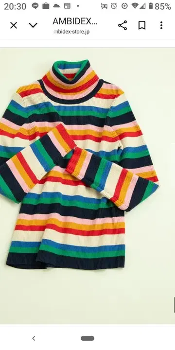 멀티 보더 리브 터틀