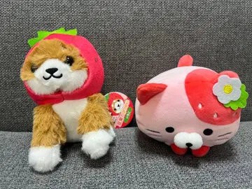 도치기 한정판 딸기 코로코로 냥코 콩 시바의 심부름