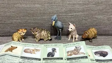 나스 동물 왕국 하시모토 미오 조각 가챠 컴플리트