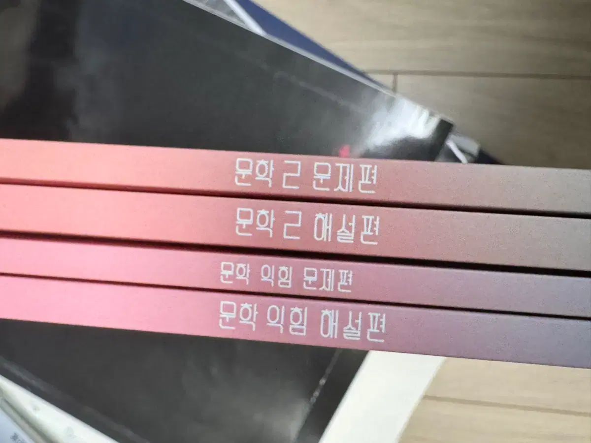 Kang Min-cheol Saegibun Literature Vol. 4