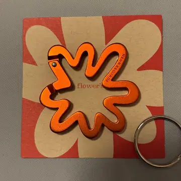 후지이 카제 오렌지 카라비너