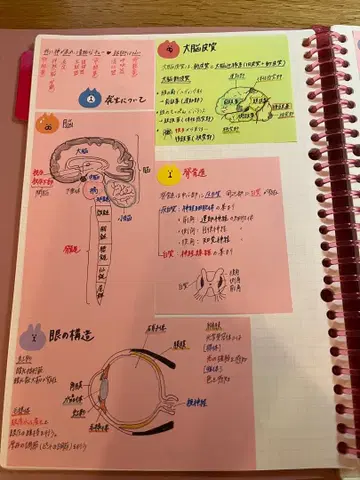 [ 약학 암기용 포스트잇 ]