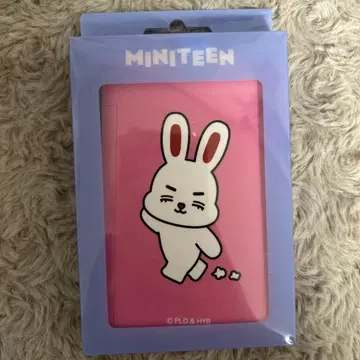 SEVENTEEN MINITEEN 네임택 에스쿱스