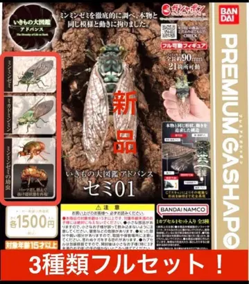 생물대도감 어드밴스 매미 01 [ 3개 풀세트 ]