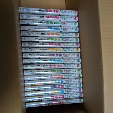 아군이 너무 약해서 보조 마법에 전념했던 궁정 마법사 1~18권