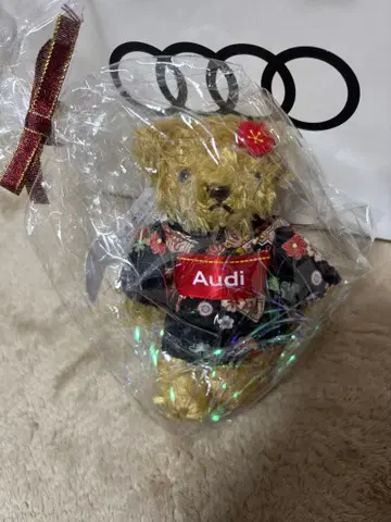 Audi 마이스터 베어 하레기ver.