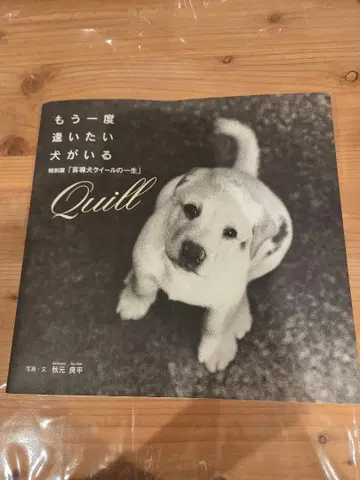 맹도견 쿠이의 일생 다시 만나고 싶은 개가 있다