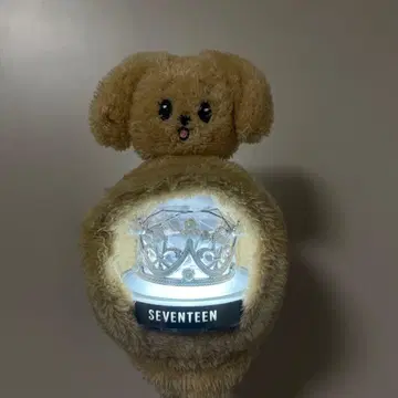 SEVENTEEN 응원봉 커버 doa