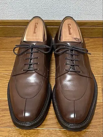 [ 레어 ] 컨디션 최상 처치 100 라스트 60F CARNE U 칩