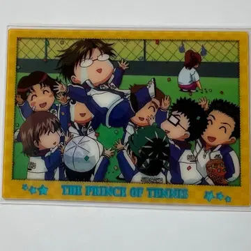 테니스의 왕자님 샤이닝 클리어 카드 SD 캐릭터 테즈카 동업