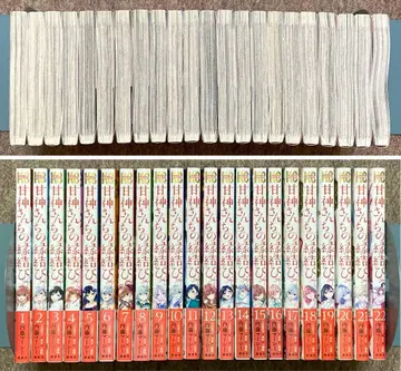 [ 전권 초판 ] 아마가미 씨네 인연 맺기 22권 세트