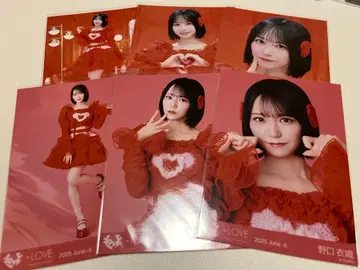 [ 익명 배송 ] 노구치 이오리 브로마이드 토쿠베츄, 시테